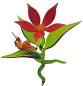Preview: Blüte mit Schnecke / Blüte rot